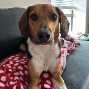 Meet your Posher, Annika